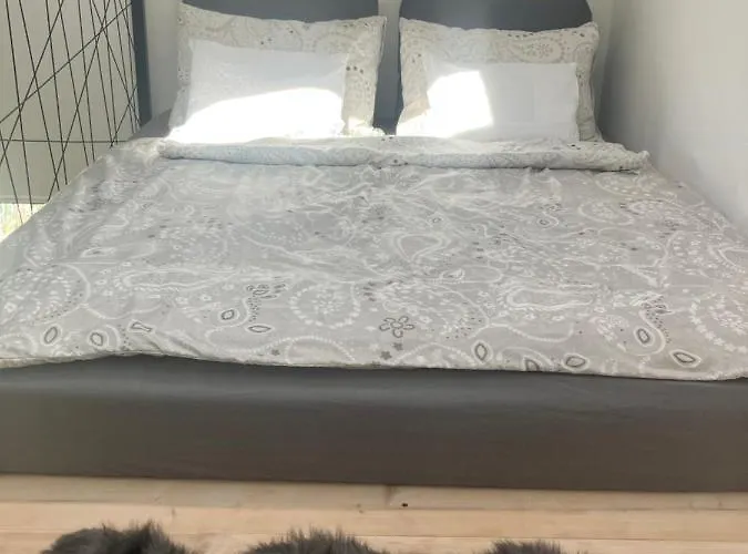 Angelit Apartament *